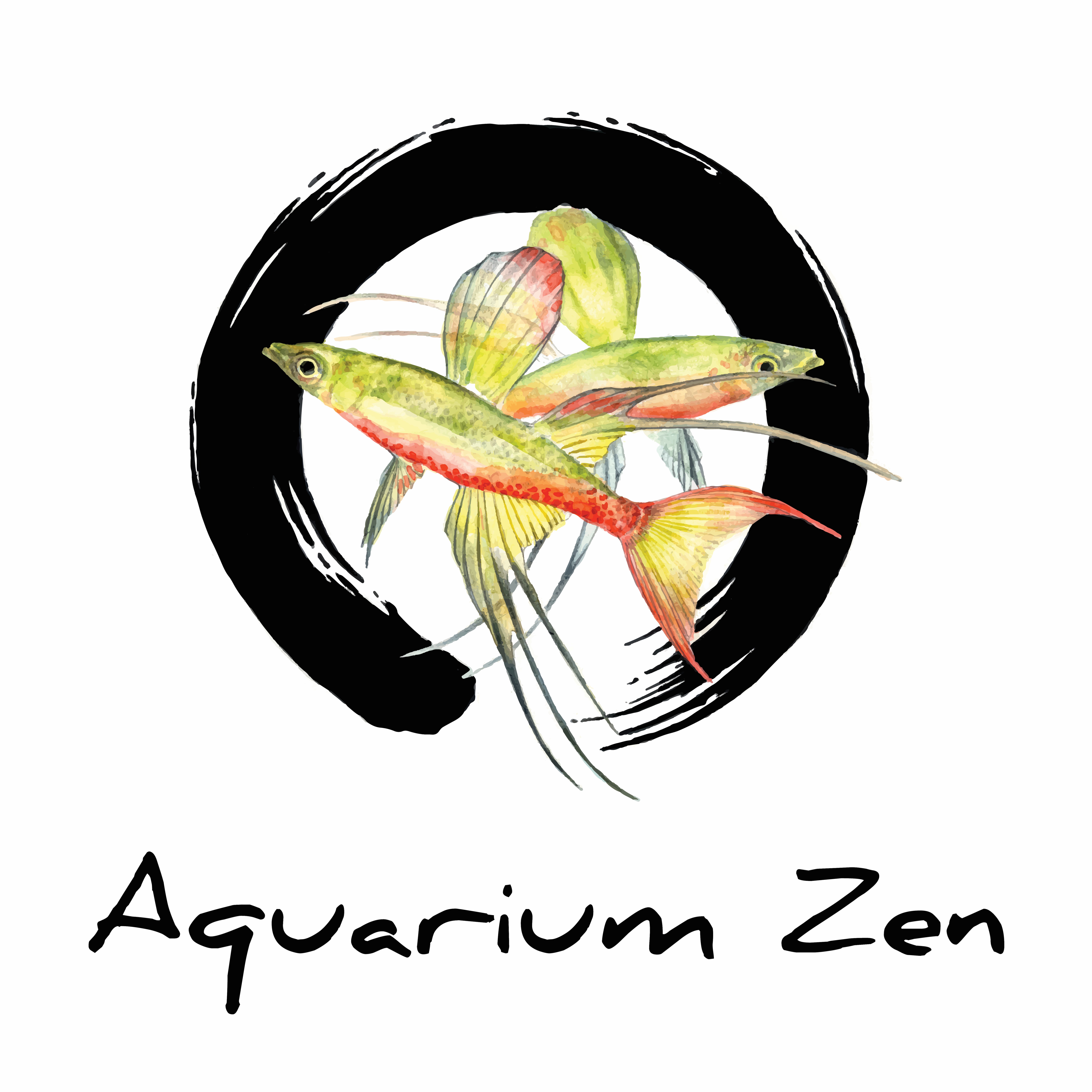 Home | Aquarium Zen, LLC
